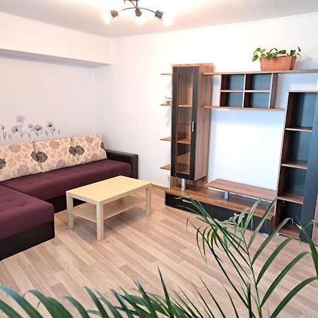 Apartament Apartament Titulescu/Banu Manta Bukareszt Zewnętrze zdjęcie