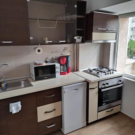 Apartament Apartament Titulescu/Banu Manta Bukareszt Zewnętrze zdjęcie
